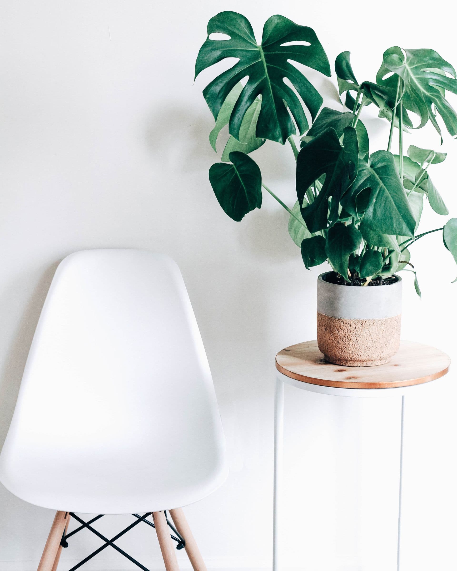 Pigreco Tacchini Armchair